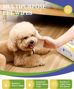 img 3 attached to VavoPaw Dog Wipes For Paws And Butt, Pet Wipes For Dog Cat, Unscented Hypoallergenic Thick Dog Grooming Wipes For Cleaning Deodorizing, Puppy Wipes For Face Eye Ears Body Bath, 3Pack/300 Count