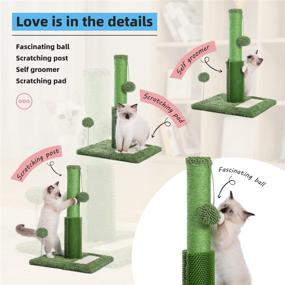 img 2 attached to 🐾 PAWZ Road 3-in-1 Cat Scratching Post with Self-Groomer, Spring Poles, and Dangling Balls - Ideal for Kittens and Indoor Cats