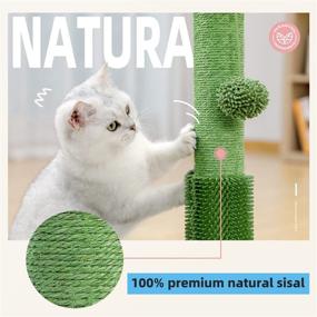 img 3 attached to 🐾 PAWZ Road 3-in-1 Cat Scratching Post with Self-Groomer, Spring Poles, and Dangling Balls - Ideal for Kittens and Indoor Cats