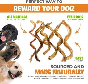 img 2 attached to K9Warehouse Curly Bully Sticks For Dogs – 6-Pack Bully Springs For Puppies, Small And Medium Dogs – Made In USA - 5-8 Inch Dental Chews For Dogs – High In Protein With Essential Nutrients