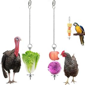 img 4 attached to YASAJI Chicken Veggies Vegetable Hanging Birds