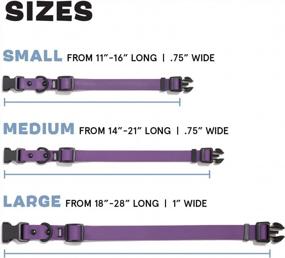 img 3 attached to Waterproof And Odor-Proof Dog Collar For Puppies And Adult Dogs - Adjustable Size - Small - Purple (BarkBox)
