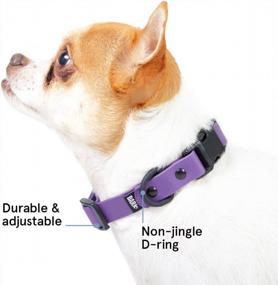 img 1 attached to Waterproof And Odor-Proof Dog Collar For Puppies And Adult Dogs - Adjustable Size - Small - Purple (BarkBox)