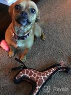 img 1 attached to TUFFY -World'S Tuffest Soft Dog Toy - Zoo Giraffe - Multiple Layers. Made Durable, Strong & Tough. Interactive Play (Tug, Toss & Fetch). Machine Washable & Floats. (Regular Pink) review by Jacob Sriubas