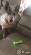 картинка 1 прикреплена к отзыву Indestructible Dog Chew Toys For Large Breeds - Oneisall Bone Chew Toy For Aggressive Chewers от Dennis Black