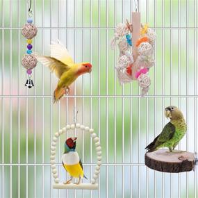 img 1 attached to 🐦 Deloky 8 Packs of Bird Parrot Swing Chewing Toys - Natural Wood Bird Climbing Hanging Cage Toys Ideal for Small Parakeets, Cockatiels, Conures, Finches, Budgie, Macaws, Parrots, Love Birds - Enhance Your Bird's Enrichment and Playtime!