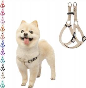 img 4 attached to PUPTECK Adjustable Soft Nylon Dog Harness With ID Tag - Perfect For No-Pull Walking And Outdoor Activities