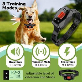 img 1 attached to 🐾 Pawious Wireless Pet Containment System - GPS Dog Fence Training Collar, Rechargeable, 1000-Yard Radius, Shock Collar for Medium and Large Dogs