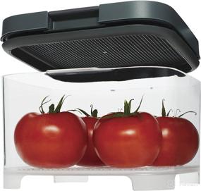 img 1 attached to 🥬 Rubbermaid FreshWorks Countertop Food Storage Produce Saver - Keep Your Produce Fresh with Rubbermaid - 2031845 (Clear/Grey)