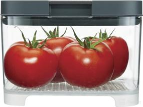 img 2 attached to 🥬 Rubbermaid FreshWorks Countertop Food Storage Produce Saver - Keep Your Produce Fresh with Rubbermaid - 2031845 (Clear/Grey)