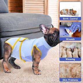 img 1 attached to Post-Surgery Recovery Suit For Dogs: Snuggly Alternative To E-Collars, Neuter Surgisuit Vest For Male And Female Pets Recovering From Abdominal Wounds, Anti-Licking Bodysuits For Post-Op Pet Care