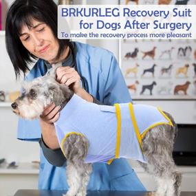 img 3 attached to Post-Surgery Recovery Suit For Dogs: Snuggly Alternative To E-Collars, Neuter Surgisuit Vest For Male And Female Pets Recovering From Abdominal Wounds, Anti-Licking Bodysuits For Post-Op Pet Care