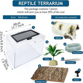 img 3 attached to 🦎 Premium Bluecoco PC Glass Reptile Terrarium Starter Kit: High-Temperature Material, Fully Transparent, Anti-Drop - Ideal for Gecko, Snake, Lizard, Turtle (Medium)