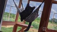 img 1 attached to Cozy Kitty Oasis: 2-Pack Of NOYAL Hanging Cat Hammock Beds, Up To 20Lbs Capacity review by Jake Solorzano