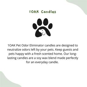 img 2 attached to 1OAK Pet Odor Candle Eliminators