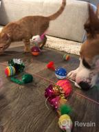 img 1 attached to 16PCS Cat And Kitten Toy Assortment: Interactive Feather Teasers, Mouse Tumblers, Mylar Crinkle Balls, Bells And More - Perfect For Chewing And Playing (Random Colors) review by Rocco Guale
