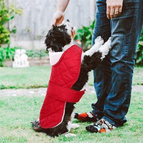 img 1 attached to Stay Warm and Dry this Winter with Queenmore Dog Jacket - Waterproof Fleece Quilting Coat for Dogs of All Sizes