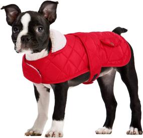 img 4 attached to Stay Warm and Dry this Winter with Queenmore Dog Jacket - Waterproof Fleece Quilting Coat for Dogs of All Sizes