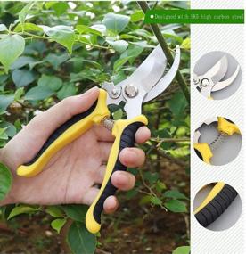 img 1 attached to Jasni 3-Pack Stainless Steel Garden Secateurs Set With Gloves And Box - Ideal For Pruning Hedge, Fruit Branches And Vegetables