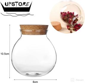 img 2 attached to 🍶 1PCS 500G/17oz Clear Empty Round Large Capacity Sealed Glass Bottles Vial Jars for Packing, Storage & Holding Cosmetics, Spice, Food, Snacks, Tea, and More - Includes Wood Cork Stopper