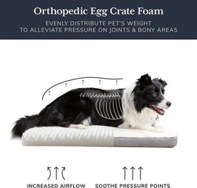 img 3 attached to 🐾 OhGeni Large Orthopedic Dog Bed with Plush Egg Foam Support, Waterproof and Machine Washable Removable Bed Cover, Softer Than Memory Foam for Calming and Relaxing Sleep