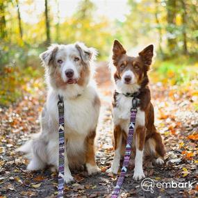 img 2 attached to 🐶 Embark Urban Dog Collar: Durable Collar for Large, Medium, & Small Dogs with Thick Nylon Material & Hardware – Suitable for Male & Female Dogs, with Leather Embossed Detailing