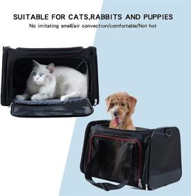 img 3 attached to 🐾 A4Pet Airline Approved Expandable Cat Carrier: Portable, Soft-Sided Dog Carriers for Travel with Kittens, Puppies, Rabbit, Hamsters - Washable and Premium Quality