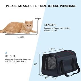 img 2 attached to 🐾 A4Pet Airline Approved Expandable Cat Carrier: Portable, Soft-Sided Dog Carriers for Travel with Kittens, Puppies, Rabbit, Hamsters - Washable and Premium Quality