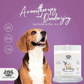 img 3 attached to 🕯️ Lavender & Chamomile Aromatherapy Deodorizing Soy Candle: Eliminate Pet Odor and Delight Animal Lovers, 6 Oz (170g)