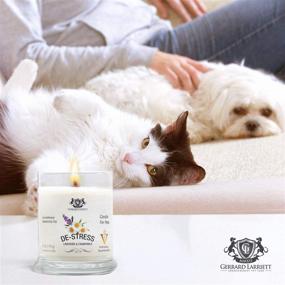 img 1 attached to 🕯️ Lavender & Chamomile Aromatherapy Deodorizing Soy Candle: Eliminate Pet Odor and Delight Animal Lovers, 6 Oz (170g)