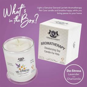 img 2 attached to 🕯️ Lavender & Chamomile Aromatherapy Deodorizing Soy Candle: Eliminate Pet Odor and Delight Animal Lovers, 6 Oz (170g)