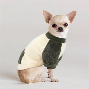 img 4 attached to Winter Wardrobe Essential: Small Dog Sweater with Cozy Pocket Design for Keeping Your Fur Baby Warm