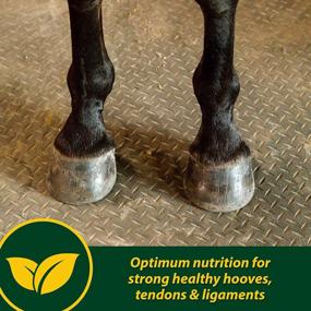 img 3 attached to Farnam Horseshoer'S Secret EXTRA STRENGTH Hoof Supplement: Promotes Healthy & Strong Hooves, Tendons & Ligaments - 3.75 Lbs., 30 Day Supply