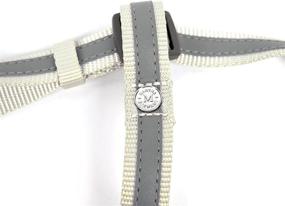 img 3 attached to Martha Stewart Classic Webbing Overlay Cats and Collars, Harnesses & Leashes