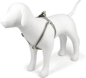 img 1 attached to Martha Stewart Classic Webbing Overlay Cats and Collars, Harnesses & Leashes