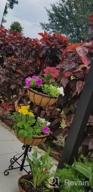 img 1 attached to Gardman R945 12" Wide X 7" High Forge Hanging Basket With Coco Liner review by Jay Chenier