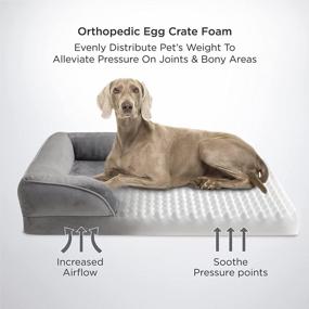 img 3 attached to Ортопедическая кровать премиум-класса для собак - водонепроницаемая, со съемным чехлом, нескользящим дном - идеально подходит для собак среднего размера от BEDSURE
