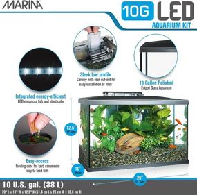 img 2 attached to 🐠 10 Gallon Marina LED Aquarium Kit