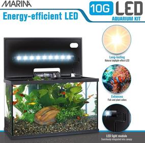 img 1 attached to 🐠 10 Gallon Marina LED Aquarium Kit