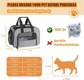 img 1 attached to Optimized Small Cat Carrier – Airline Approved, Soft Sided Pet Carrier for Kitten and Puppy Travel – TSA Bag for Airplane, Car, Train & Vet Visits (Grey, 16 x 11 x 12 in)