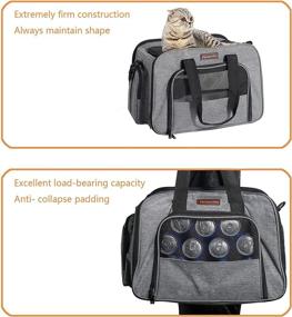 img 2 attached to Optimized Small Cat Carrier – Airline Approved, Soft Sided Pet Carrier for Kitten and Puppy Travel – TSA Bag for Airplane, Car, Train & Vet Visits (Grey, 16 x 11 x 12 in)