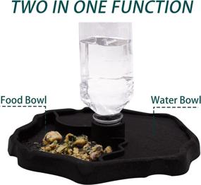 img 3 attached to 🦎 Aufeeky 2 in 1 Reptile Water & Food Dish with Bottle: Automatic Refilling Bowl for Large Reptiles - Tortoise, Hermit Crab, Turtle, Dragon, Gecko, Frog - Coffee