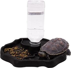 img 4 attached to 🦎 Aufeeky 2 in 1 Reptile Water & Food Dish with Bottle: Automatic Refilling Bowl for Large Reptiles - Tortoise, Hermit Crab, Turtle, Dragon, Gecko, Frog - Coffee