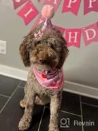 img 1 attached to Make Your Dog'S Birthday Special With GAGILAND Birthday Party Set - Dog Bandana, Hat, Banner & More In Pink With Balloon! review by Russell Smith