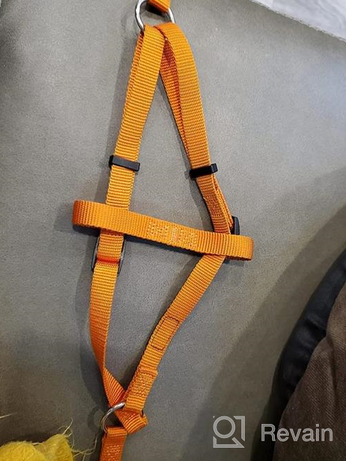 img 1 attached to Adjustable Nylon Dog Harness With ID Tag For Comfortable And Safe Outdoor Walks - PUPTECK No-Pull Puppy Vest review by Chantell Marie