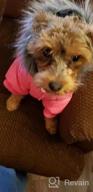 img 1 attached to Warm & Windproof Dog Coats For Small Dogs - LesyPet Grey S review by Roxana Kotarba