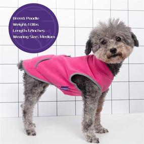 img 2 attached to 🐾 Cyeollo Dog Fleece Jacket: Stretchy, Reflective Winter Coat with Harness Hole for Small-Medium Dogs