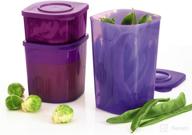 🍃 tupperware fresh n cool refrigerator storage containers: set of 3 - keep your food fresh! логотип