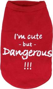 img 1 attached to 🐶 LOPHIPETS Dog I'm Cute But Dangerous Letter Print Shirts for Small Teacup Dog Chihuahua Yorkie Puppy Cat Clothes Tee - Red/XXS" -> "LOPHIPETS Cute But Dangerous Dog Shirt - Red/XXS - Ideal for Small Teacup Dog, Chihuahua, Yorkie, Puppy, and Cat Clothes