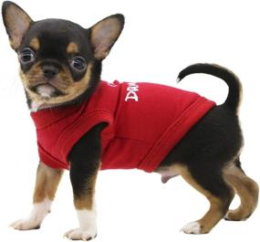 img 3 attached to 🐶 LOPHIPETS Dog I'm Cute But Dangerous Letter Print Shirts for Small Teacup Dog Chihuahua Yorkie Puppy Cat Clothes Tee - Red/XXS" -> "LOPHIPETS Cute But Dangerous Dog Shirt - Red/XXS - Ideal for Small Teacup Dog, Chihuahua, Yorkie, Puppy, and Cat Clothes